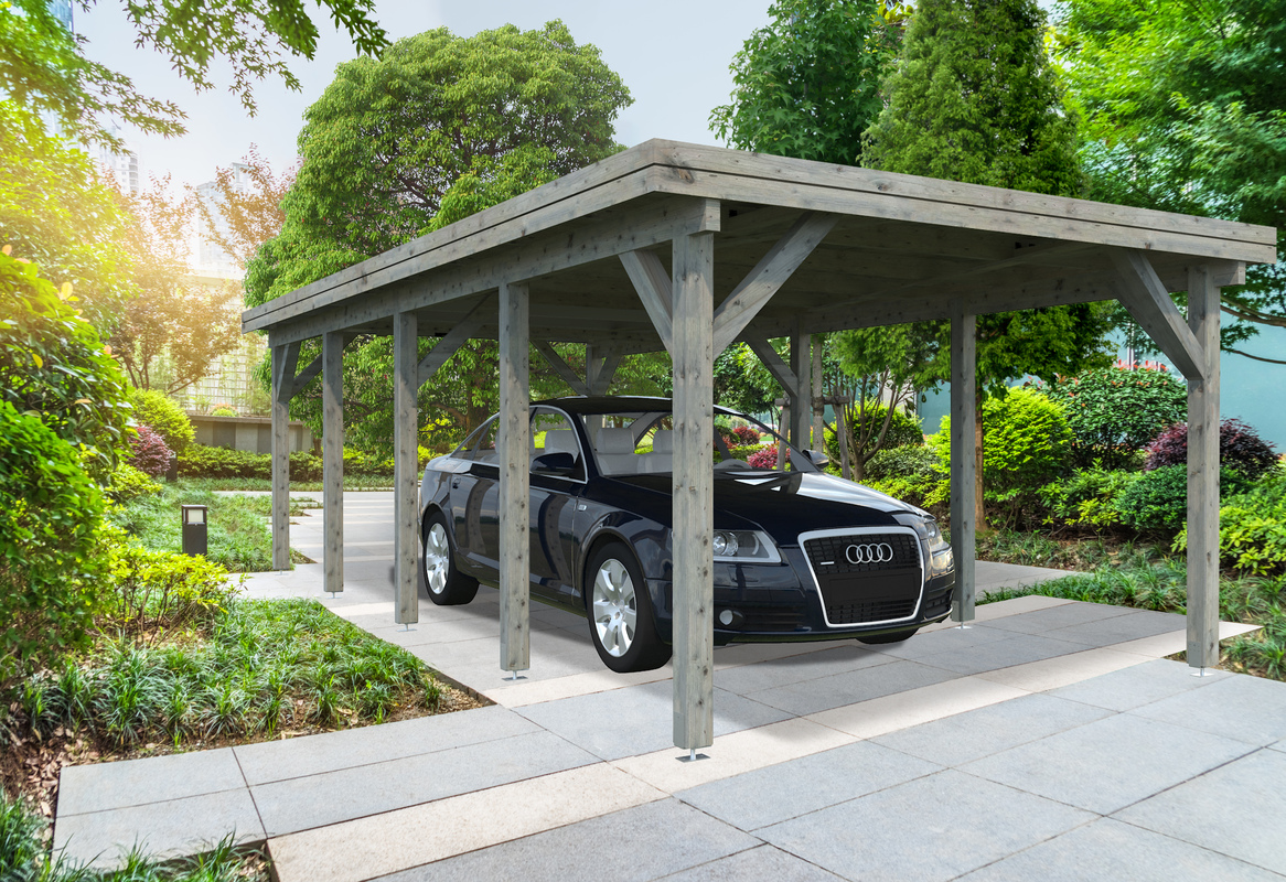 beautiful park at a sunny day