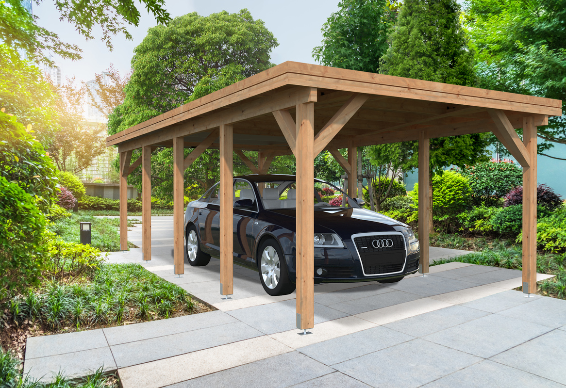 beautiful park at a sunny day