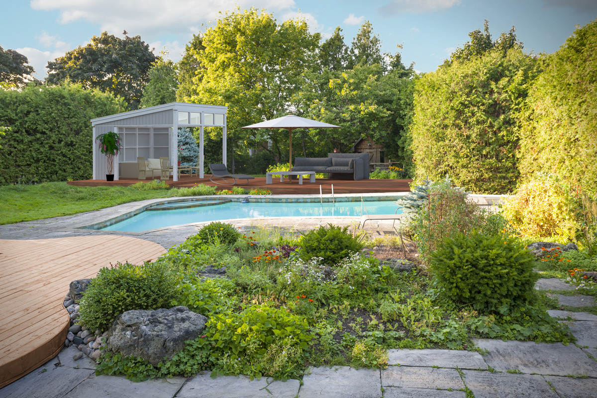 Garden and swimming pool in backyard