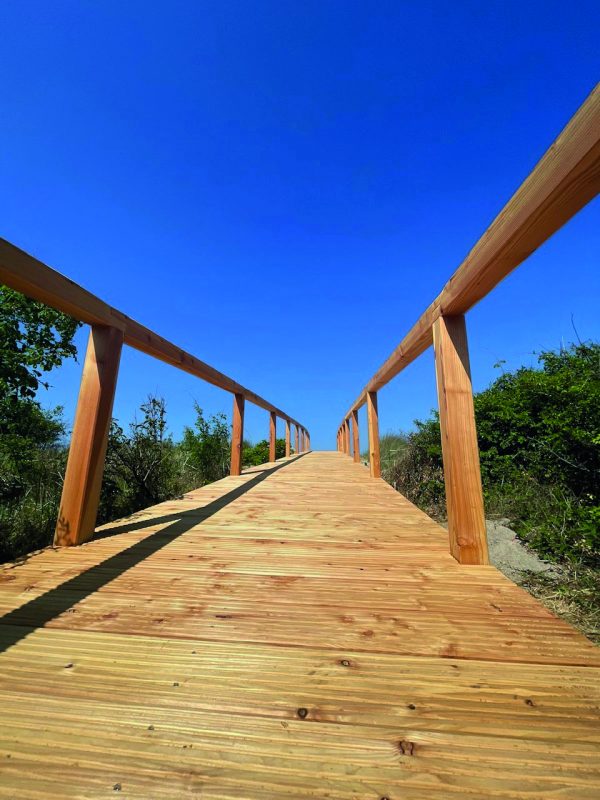 Bogen -Teichbrücke premium Lärche roh 3,00 m, mit 2 Handläufen VE = 000 – Bild 4