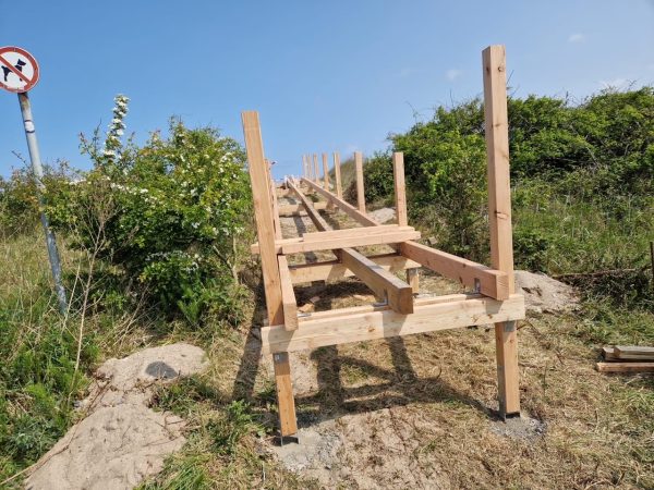 Bogen -Teichbrücke premium Lärche roh 3,00 m, mit 2 Handläufen VE = 000