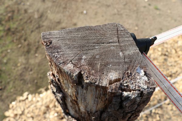 Eichenspaltpf. 12-14 cm 2,00 m gespitzt (Abnahme nur ganze VE´s = 25 Stck.) – Bild 5