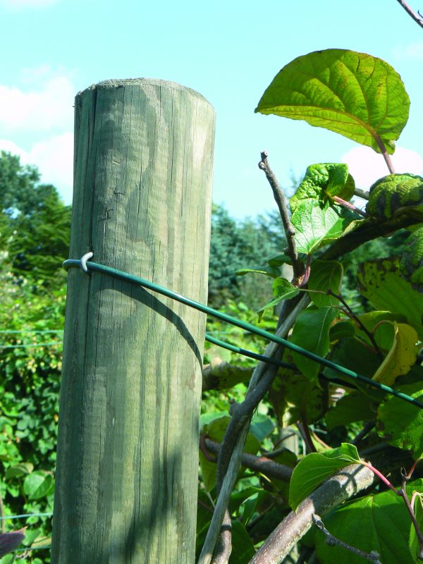 10 cm gefräste Zaunpfähle -KDI- 1,00 m VE = 060 – Bild 4