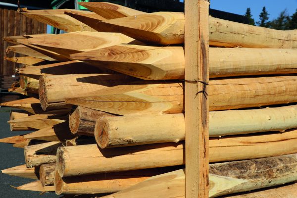 Robinien-Pfahl, Länge 1,5 m, Ø 14-16 cm entsplintet, geschliffen und gespitzt VE = 000, für Robinien-Bonanza-Zaun – Bild 4