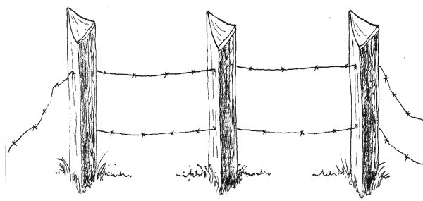 Eichenspaltpf. 12-14 cm 2,00 m gespitzt (Abnahme nur ganze VE´s = 25 Stck.) – Bild 3