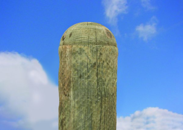 20 cm gefr Poller KDI 2,00 m Kopf gerundet VE = 027 – Bild 3