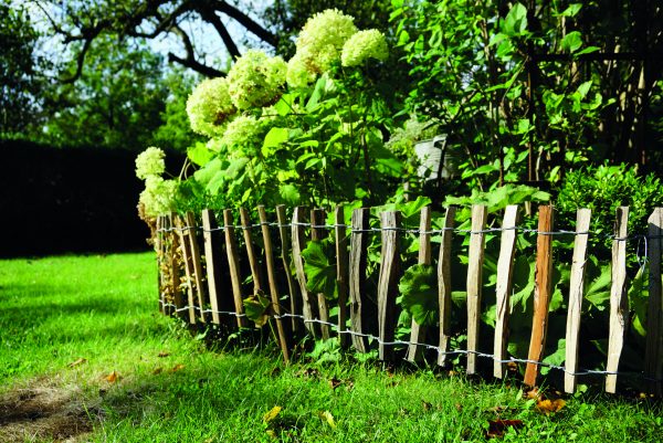 Haselnuss Rollbeetgrenze 500 x 30 cm, Lattenabstand 3-4 cm VE = 036 – Bild 3