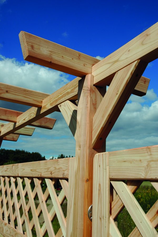 Pergola >Standard< Lärche 4,50 m Komplett VE = 008 – Bild 6