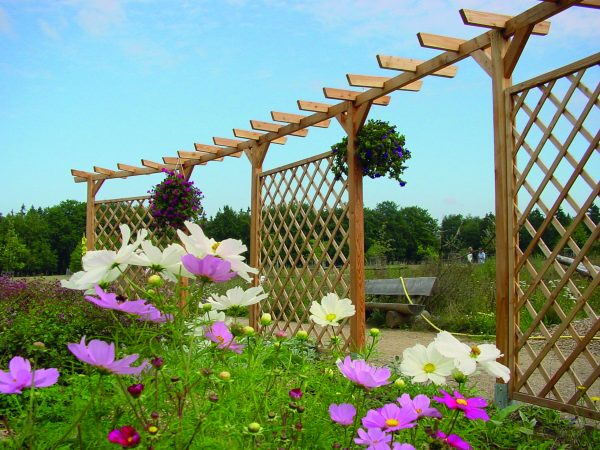 Pergola >Standard< Lärche 1,80 m Verlängerung VE = 008 – Bild 2