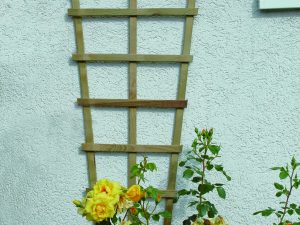 Arhus Spalier Konisch 30/60 x 150 cm KDI VE = 012