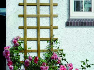Odense Spalier Rechteck 60 x 150 cm KDI VE = 012