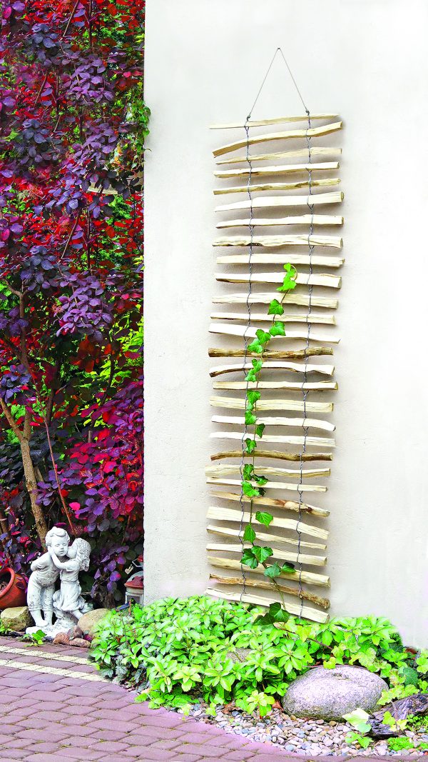 Haselnuss Rankhilfe Lattenabstand 3-4 cm 50 x 200 cm VE = 020