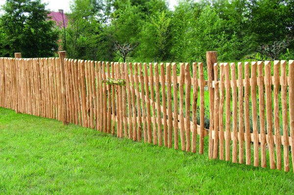 Altmark Doppeltor Haselnuss, natur 300 x 80 cm, inkl. Beschlag VE = 003 – Bild 2