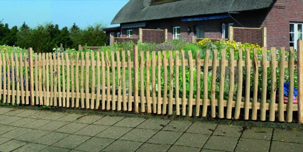 Altmark Pforte Haselnuss, natur 100 x 80 cm, inkl. Beschlag VE = 005 – Bild 2