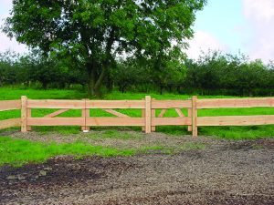 Bonanza-Zaun-Doppeltor gehobelt natur 26 mm, 300 x 100 cm VE = 000