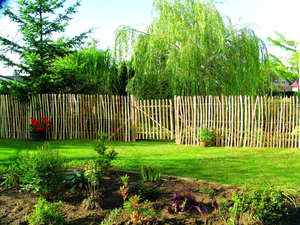 Haselnuss Pforte Lattenabstand 3-4 cm 100 x 120 cm, inkl. Beschlag VE = 005 – Bild 2