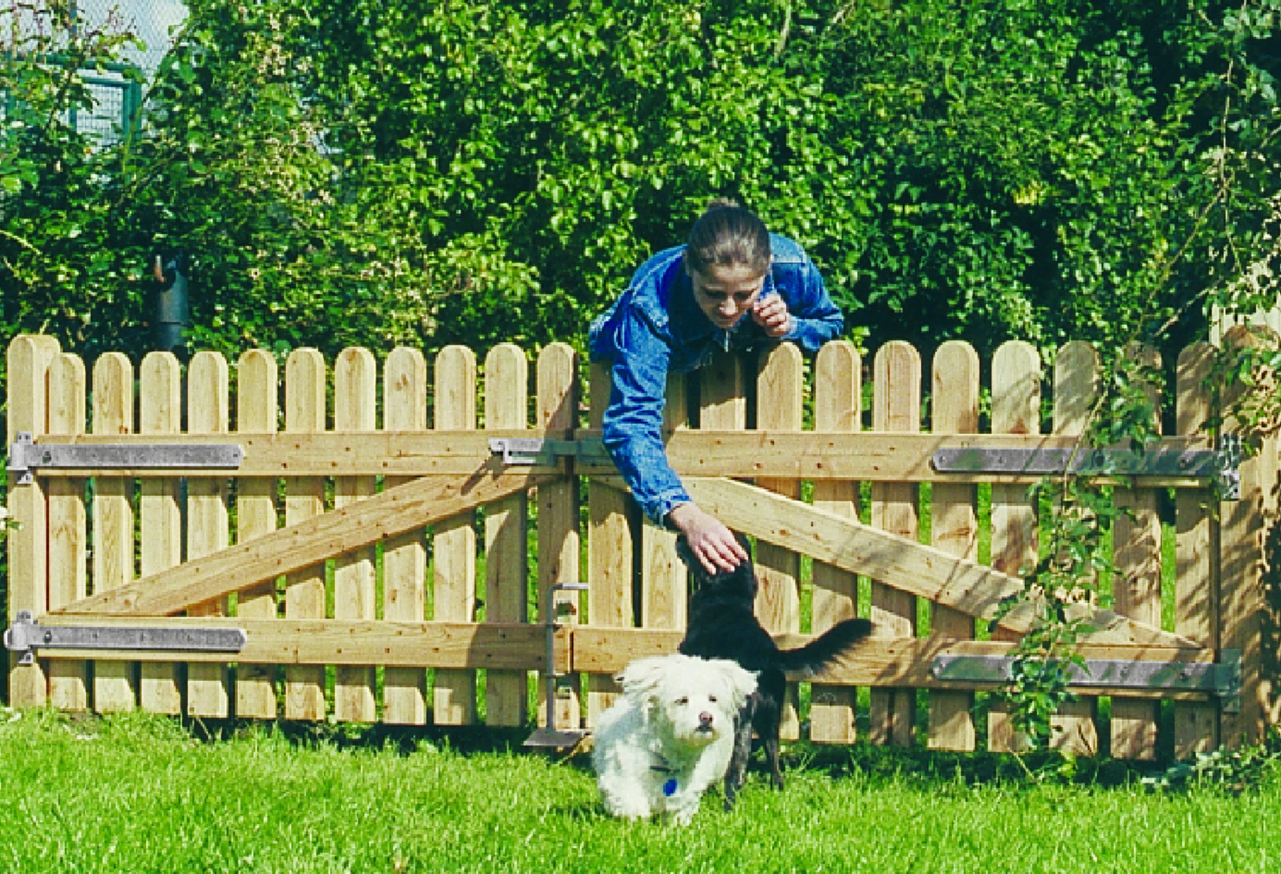 Beschlag Doppeltor mit geradem Riegel verzinkt (Paket Nr. 2A) VE = 000 – Bild 2