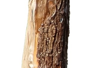 Eichenspaltpf. 12-14 cm 2,00 m gespitzt (Abnahme nur ganze VE´s = 25 Stck.)
