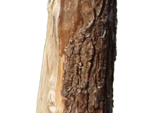 Eichenspaltpfähle 12-14 cm 1,80 m stumpf (Abnahme nur ganze VE´s = 25 Stck.)