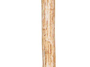 Kastanien-Pfähle, Ø6-10 cm, Länge 1,50 m naturgewachsen, gespitzt VE = 150