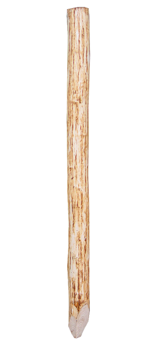 Kastanien-Pfähle, Ø6-10 cm, Länge 1,80 m naturgewachsen, gespitzt VE = 150