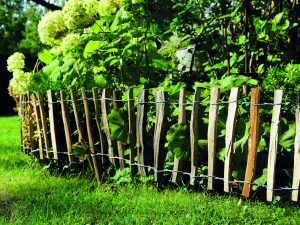 Haselnuss Rollbeetgrenze 500 x 50 cm, Lattenabstand 3-4 cm VE = 024