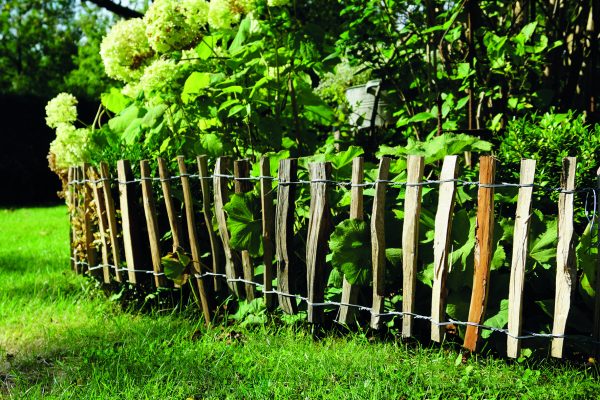 Haselnuss Rollbeetgrenze 500 x 50 cm, Lattenabstand 3-4 cm VE = 024