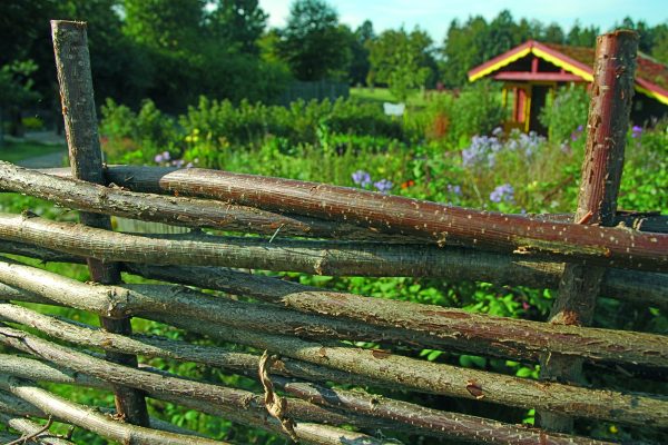 Haithabu Flechtzaun Haselnuss, natur 180 x 150 cm VE = 020 – Bild 7