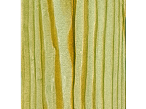 Einzelstaketen Vitoria Nadelholz KDI 16 x 120 x 1800 mm VE = 060