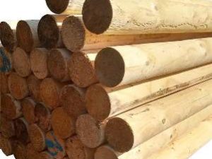Turnierstangen 10 cm Durchm. 3,00 m, aus frischem Rundholz produziert, leichte Krümmungen und Faserausrisse