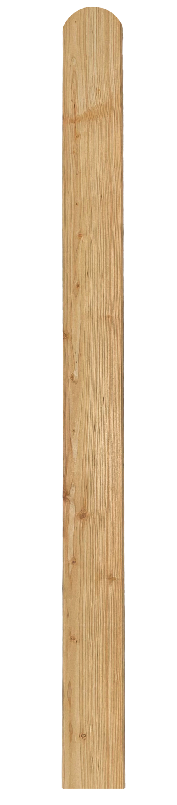 Zaunprofile Lärche roh 30 x 95 x 600 mm VE = 190