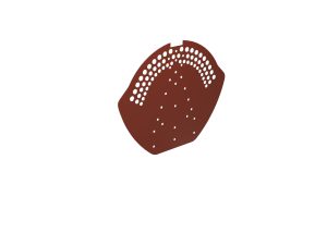 Firstendscheibe für Typ 2, gelocht Stahl= 0,50 mm, 25µm Polyester/RSB