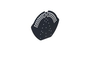 Firstendscheibe für Typ 2, gelocht Stahl= 0,50 mm, 60µm Puramid/RSB
