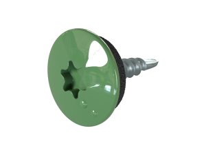 TTAP- Schrauben, 4,8 x 20 mm RAL 6002-laubgrün, a´ 100 Stück