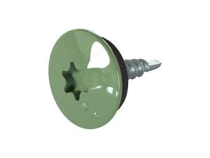 TTAP- Schrauben, 4,8 x 20 mm RAL 6011-resedagrün, a´ 100 Stück