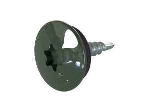 TTAP- Schrauben, 4,8 x 20 mm RAL 6020 chromoxidgrün,a´100 Stück