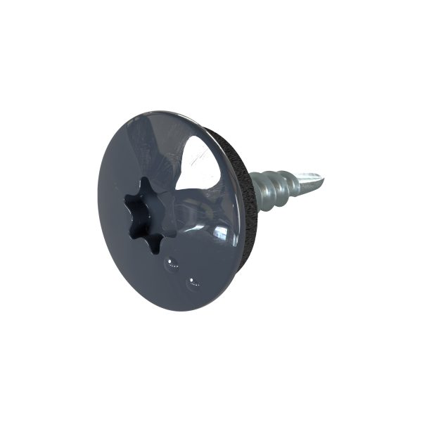 TTAP- Schrauben, 4,8 x 20 mm RAL 7016-anthrazitgrau, a´ 100 Stück