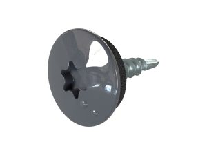 TTAP- Schrauben, 4,8 x 20 mm RAL 7024-graphitgrau, a´ 100 Stück
