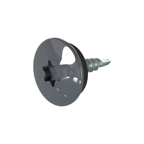 TTAP- Schrauben, 4,8 x 20 mm RAL 7024-graphitgrau, a´ 100 Stück
