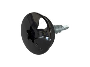 TTAP- Schrauben, 4,8 x 20 mm RAL 9005-tiefschwarz, a´ 100 Stück