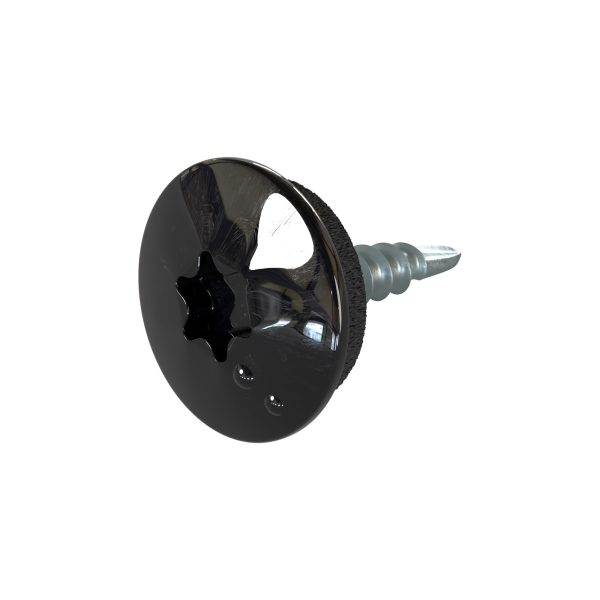 TTAP- Schrauben, 4,8 x 20 mm RAL 9005-tiefschwarz, a´ 100 Stück