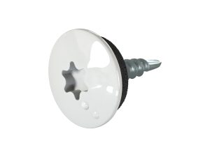TTAP- Schrauben, 4,8 x 20 mm RAL 9006-weißaluminium, a´ 100 Stück