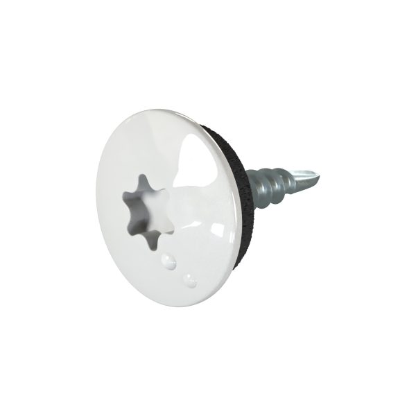 TTAP- Schrauben, 4,8 x 20 mm RAL 9006-weißaluminium, a´ 100 Stück