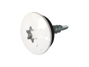 TTAP- Schrauben, 4,8 x 20 mm RAL 9010-reinweiß, a´ 100 Stück