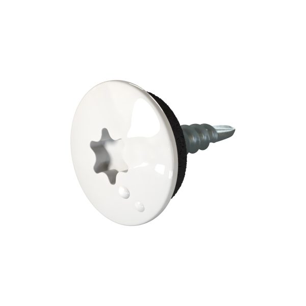 TTAP- Schrauben, 4,8 x 20 mm RAL 9010-reinweiß, a´ 100 Stück