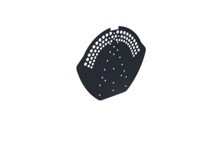 Firstendscheibe für Typ 2, gelocht Aluminium= 0,70 mm, 25µm Polyester