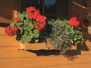 JODA Blockhaus Blumenkasten 60 cm inkl. Kunststoffeinsatz