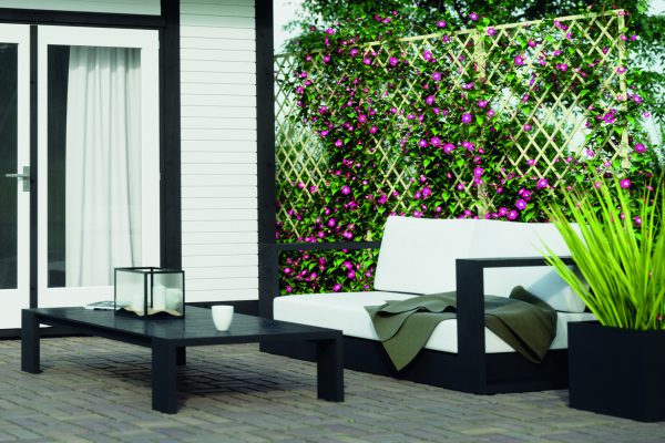 Pedro classic Rankzaun 50 x 180 cm VE = 006 – Bild 3