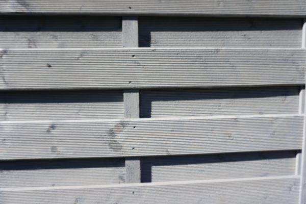 Madras Dichtzaun Fichte Grau 100x180 cm VE = 006 – Bild 4