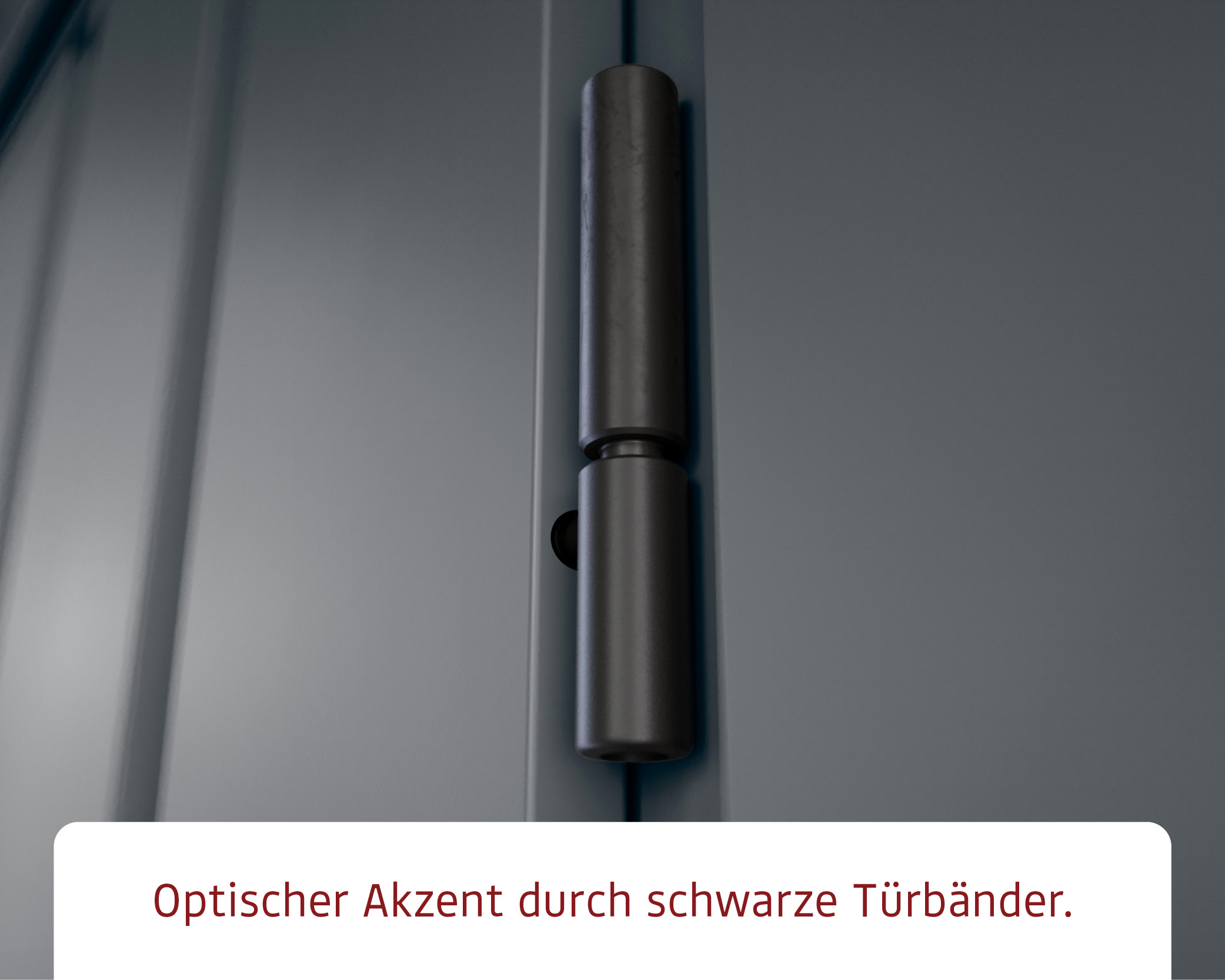 4802126_DE_BertschHolzbau_Zuluna_GH_Classic_ZFD10_2flg_RAL_7016_006